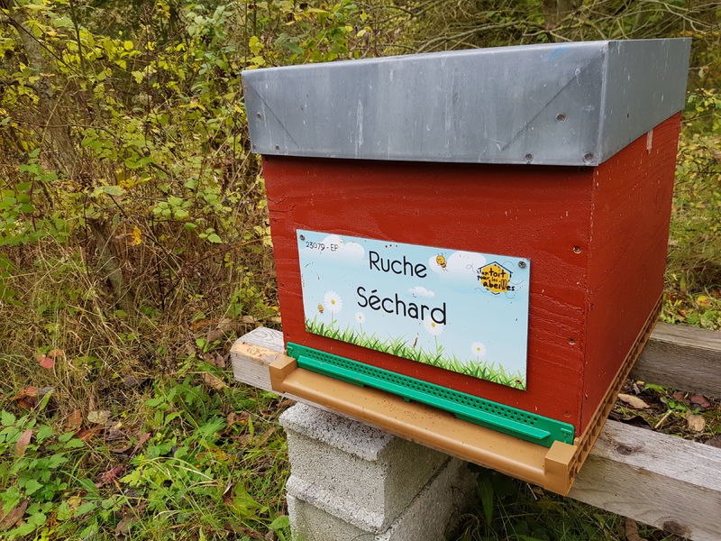 La ruche Séchard