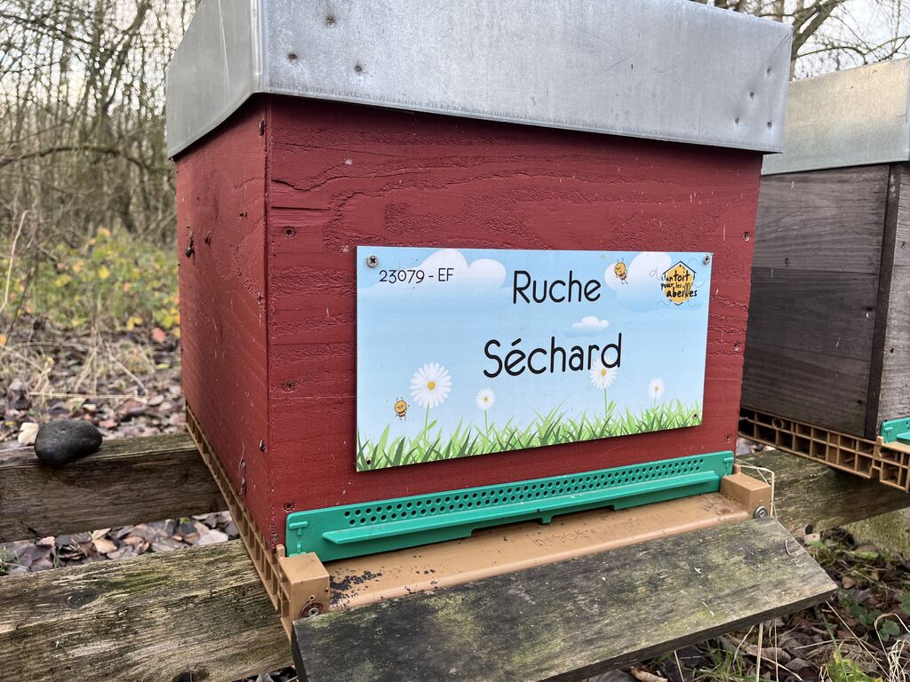 La ruche Séchard