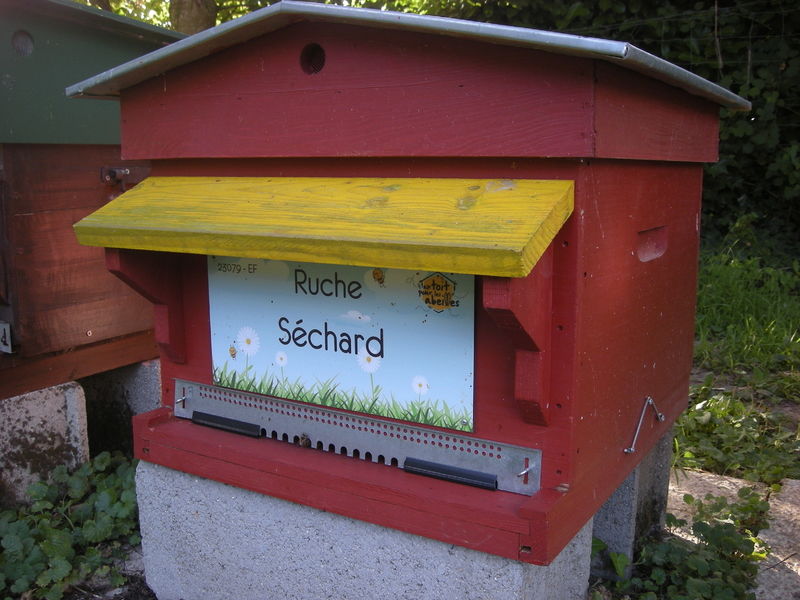 La ruche Séchard