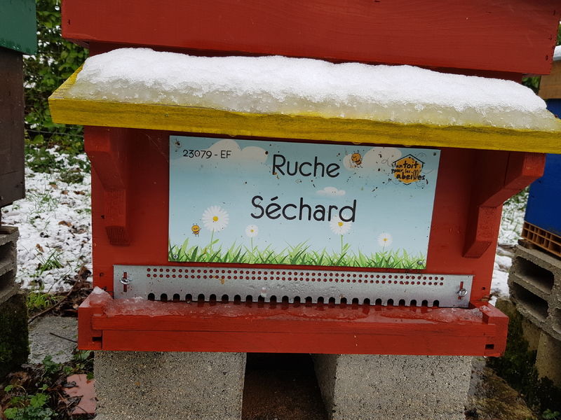 La ruche Séchard