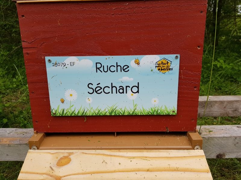La ruche Séchard
