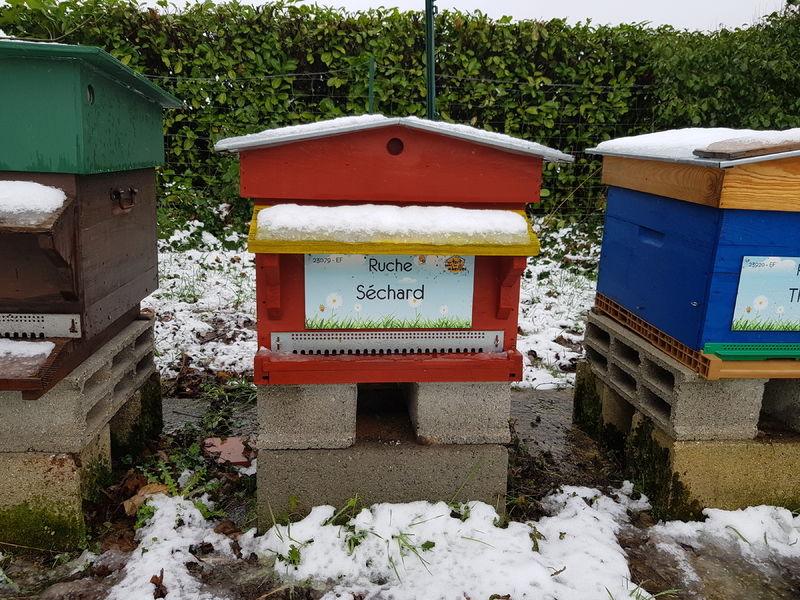 La ruche Séchard