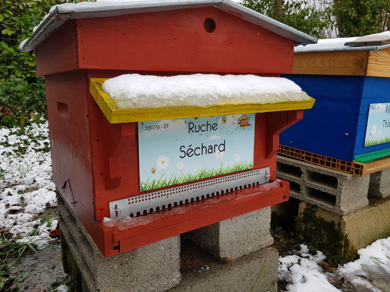 La ruche Séchard