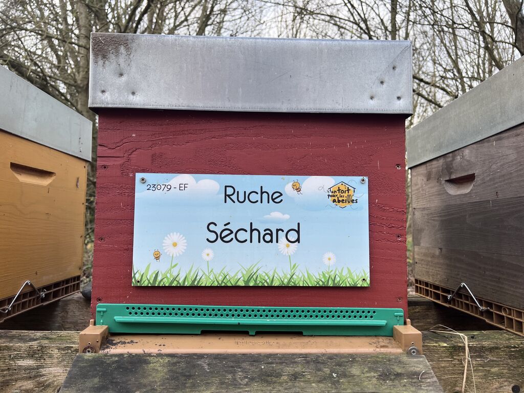 La ruche Séchard