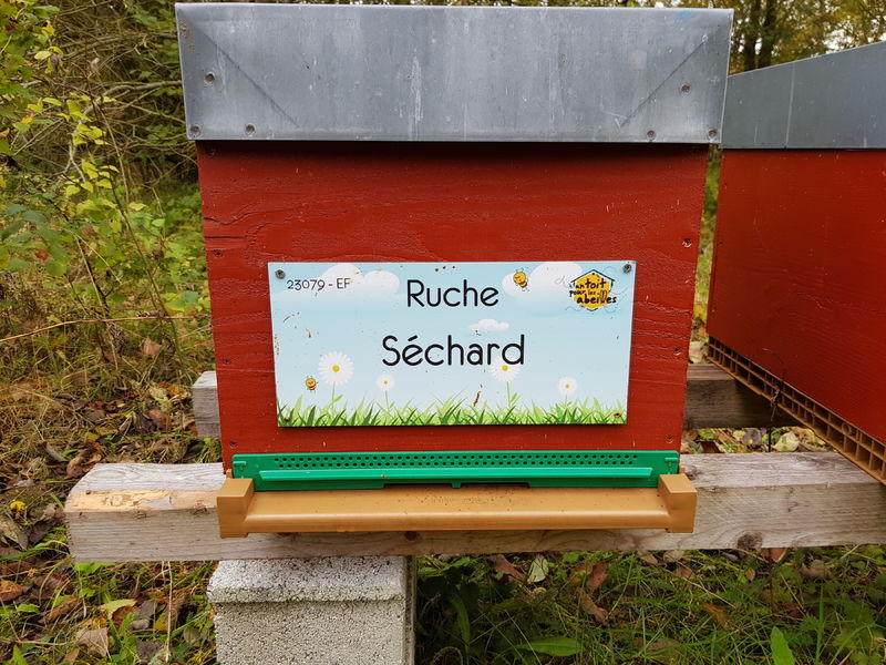 La ruche Séchard