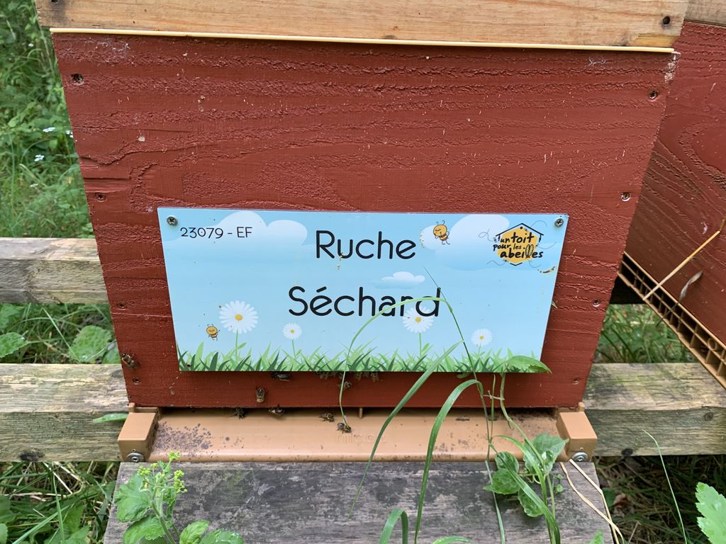 La ruche Séchard