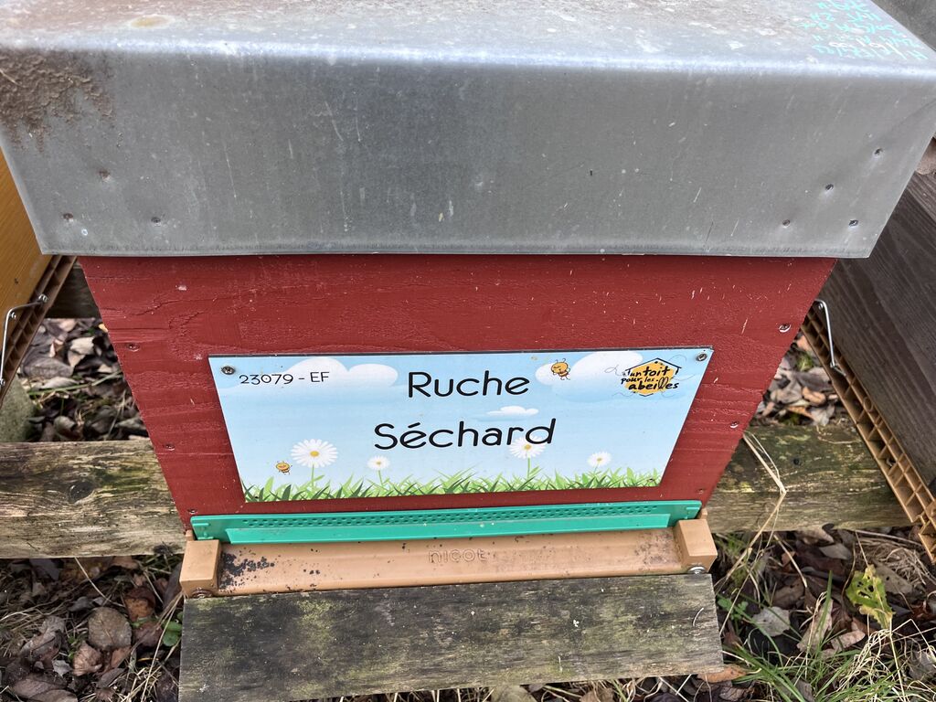 La ruche Séchard