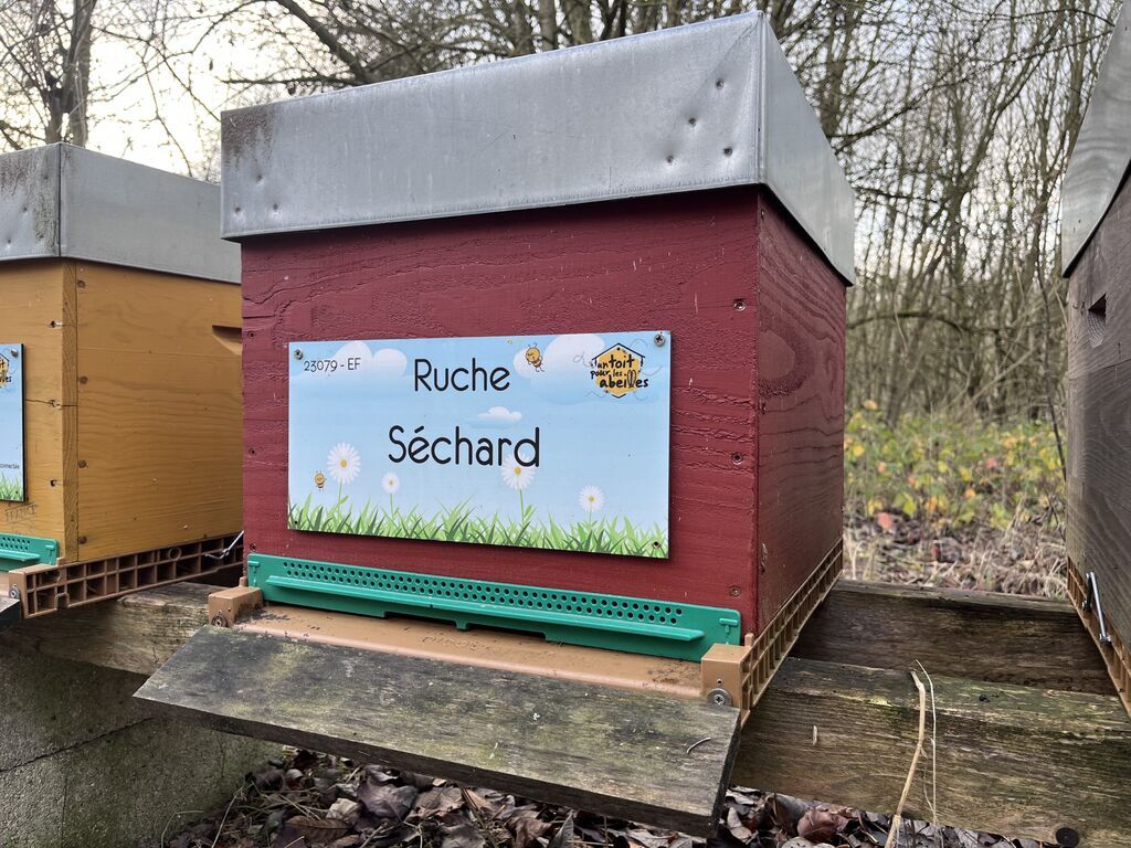 La ruche Séchard