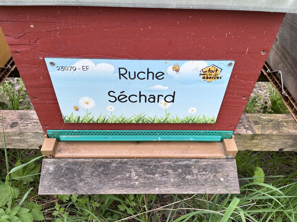 La ruche Séchard