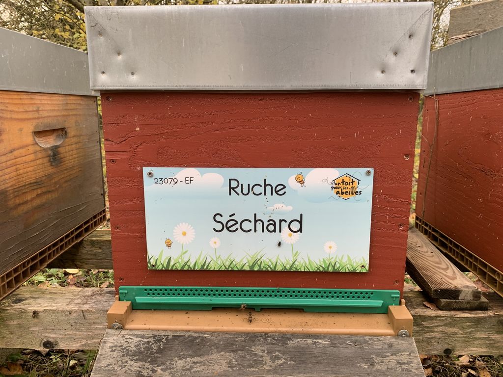 La ruche Séchard