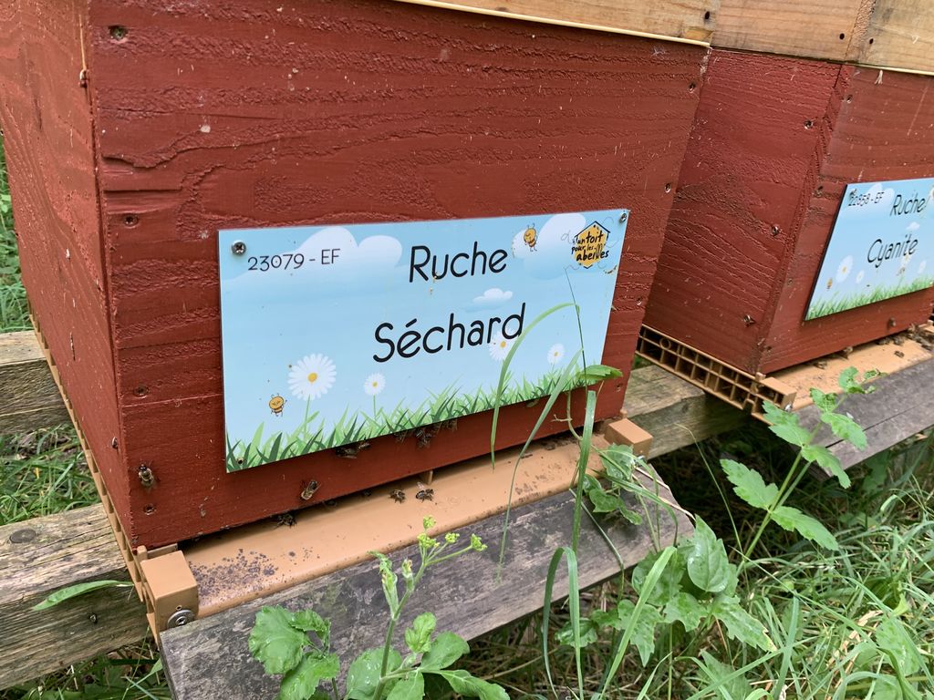 La ruche Séchard