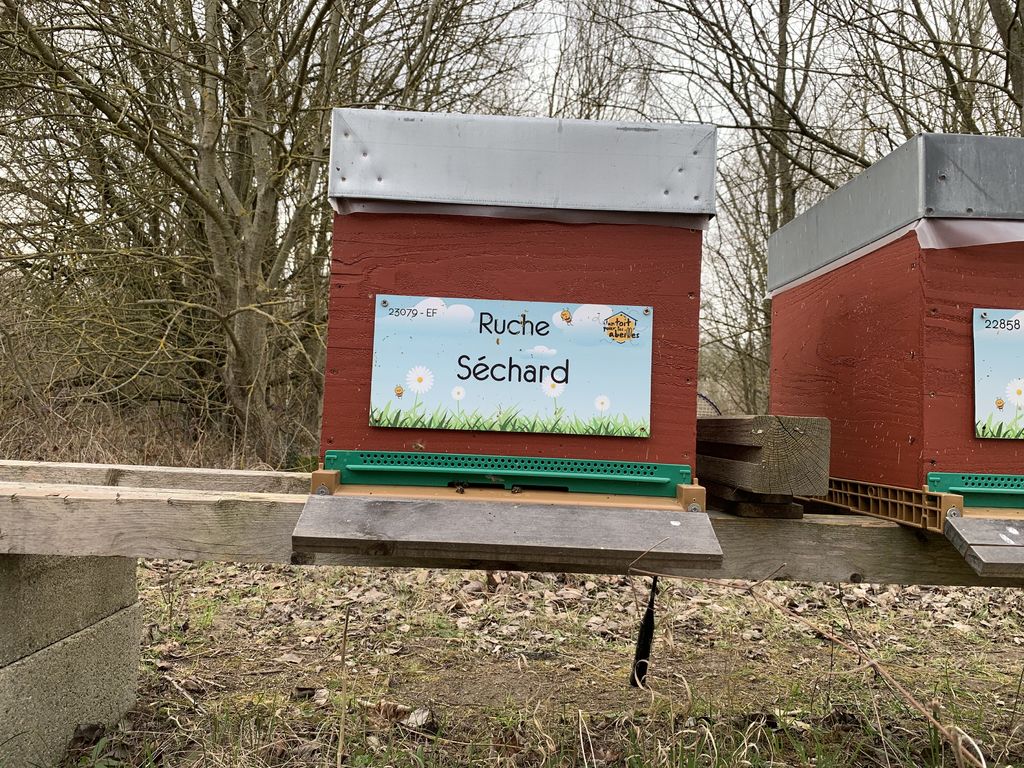 La ruche Séchard