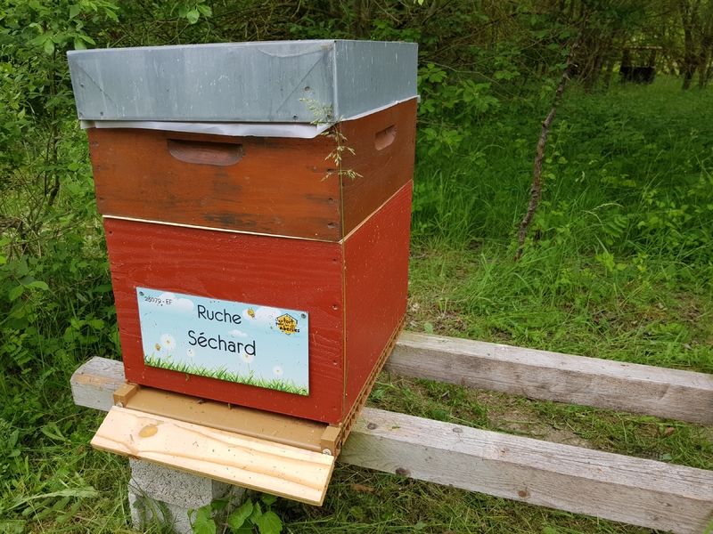 La ruche Séchard