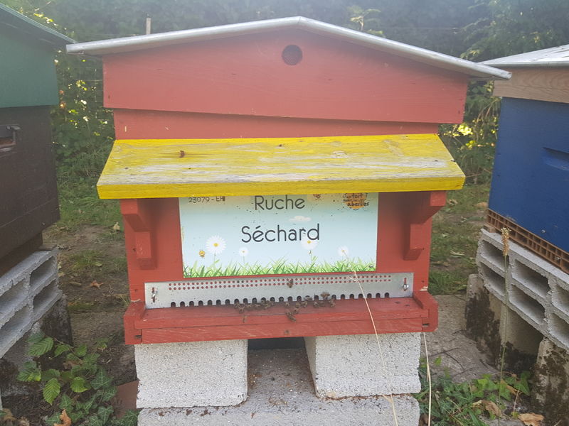 La ruche Séchard