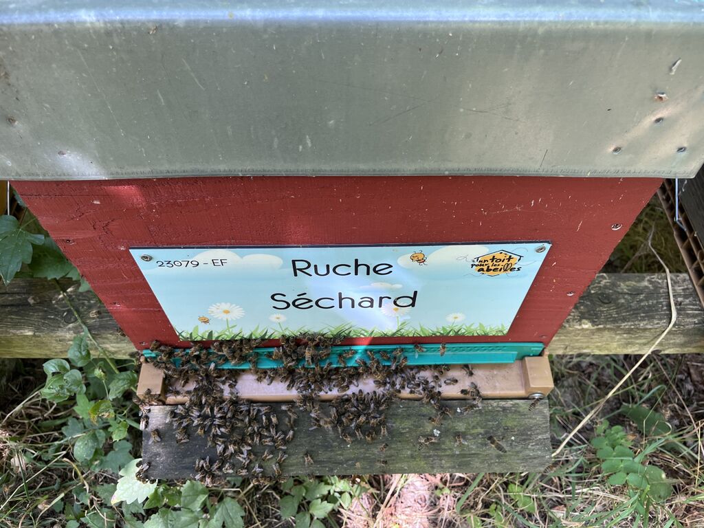 La ruche Séchard