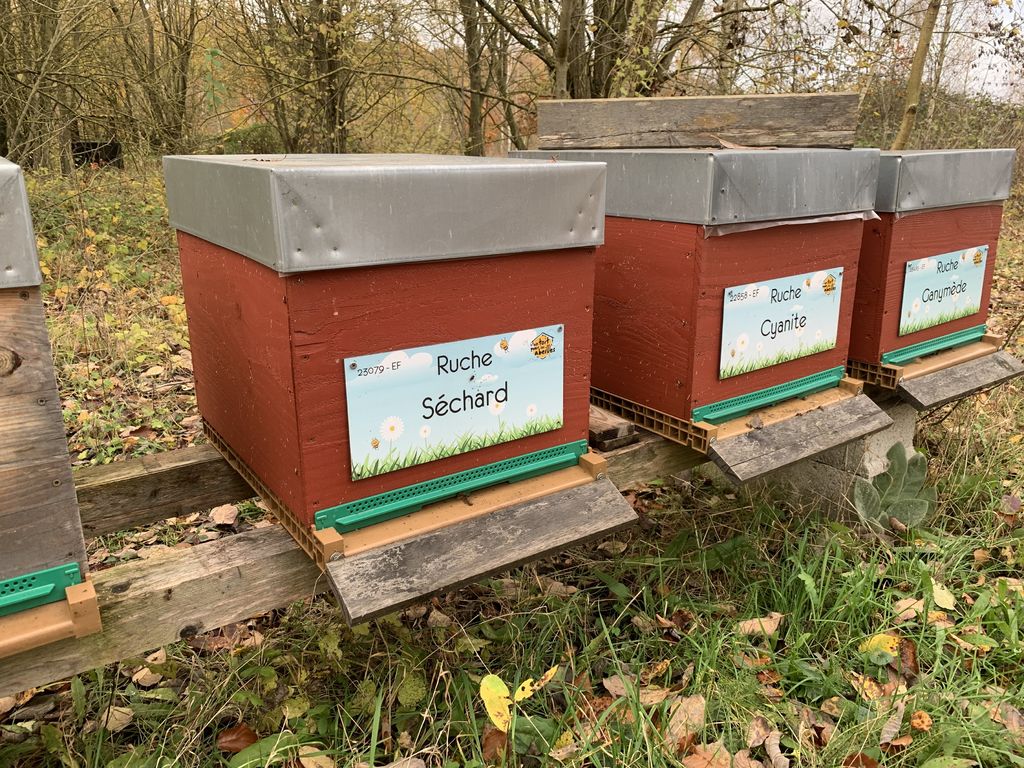 La ruche Séchard