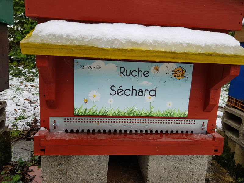 La ruche Séchard