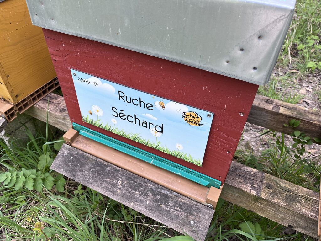La ruche Séchard