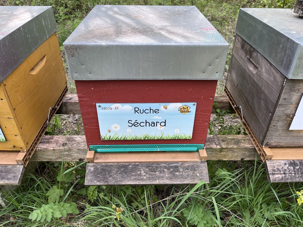 La ruche Séchard