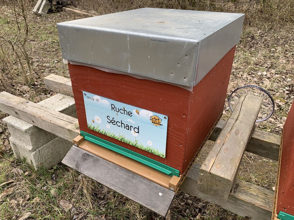 La ruche Séchard
