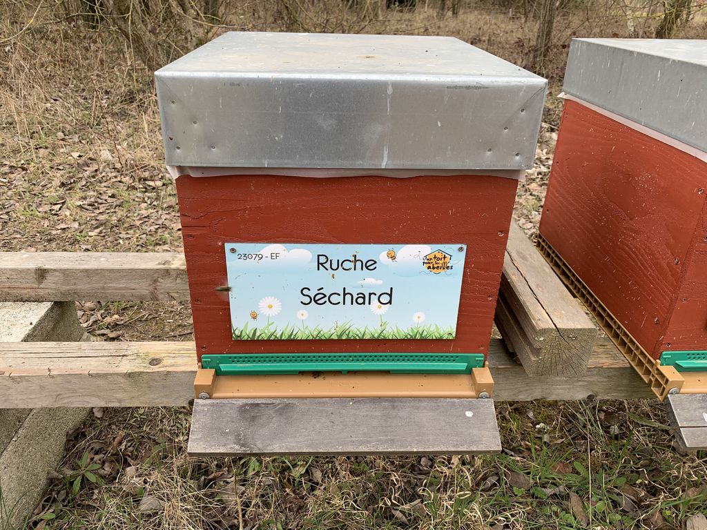 La ruche Séchard
