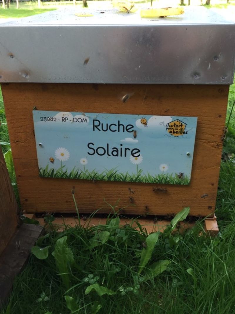 La ruche Solaire