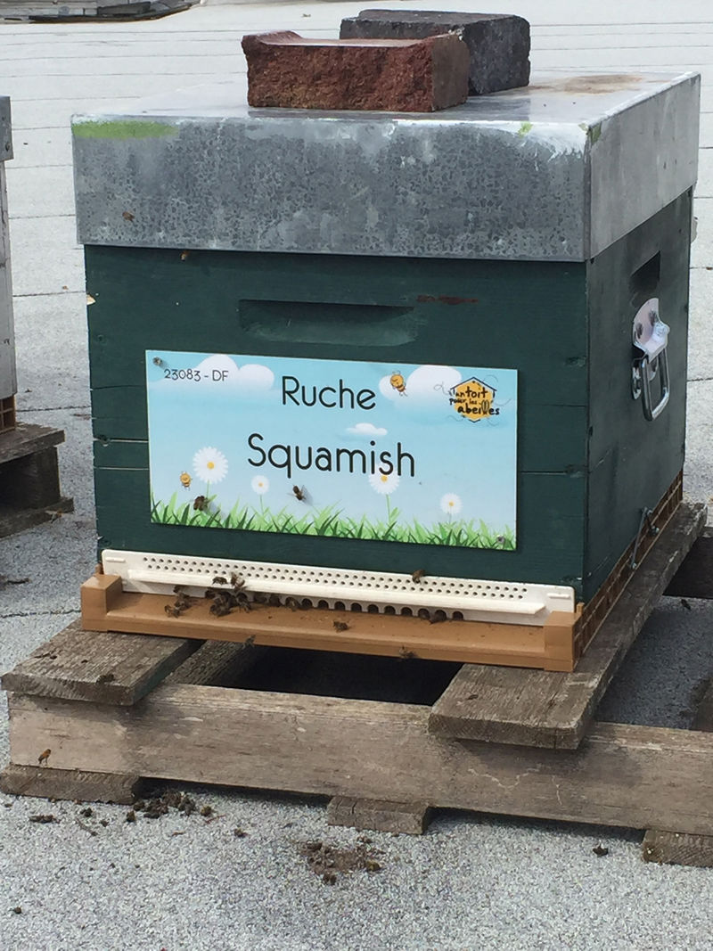 La ruche Squamish
