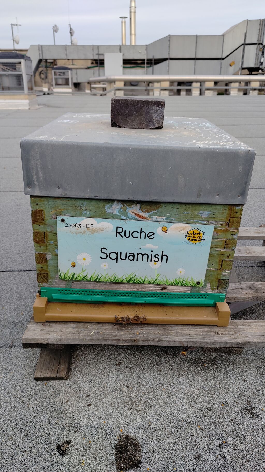 La ruche Squamish