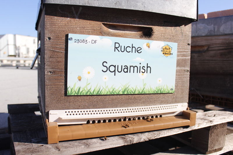 La ruche Squamish