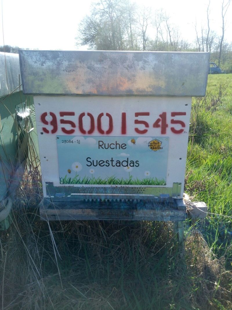 La ruche