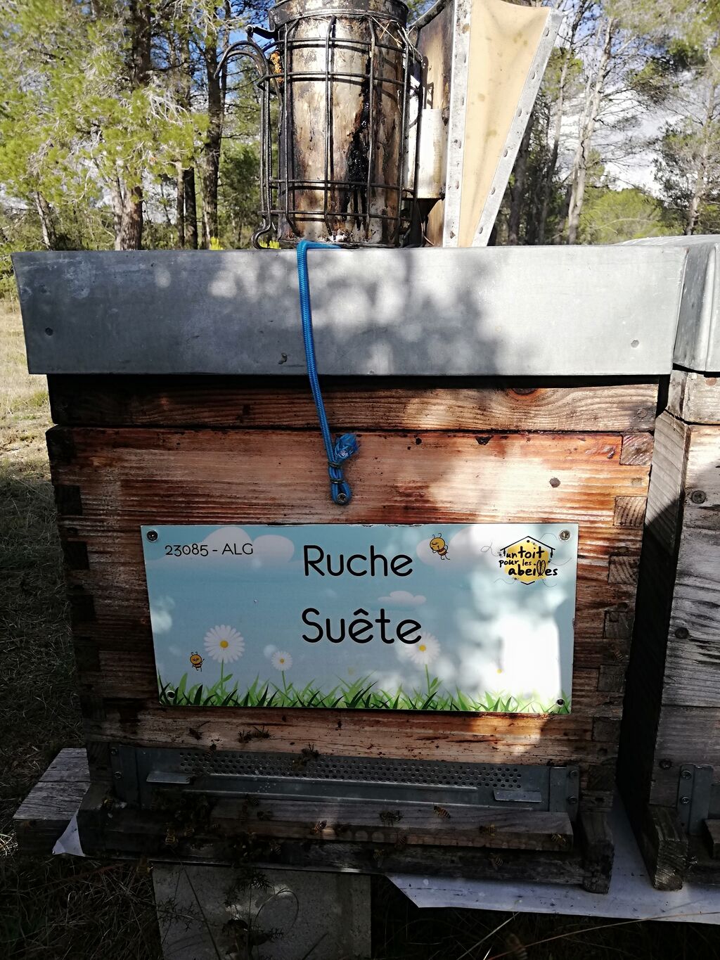 La ruche Suête