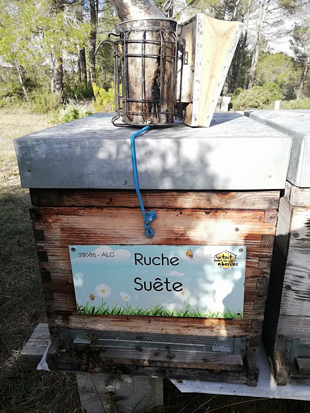 La ruche Suête