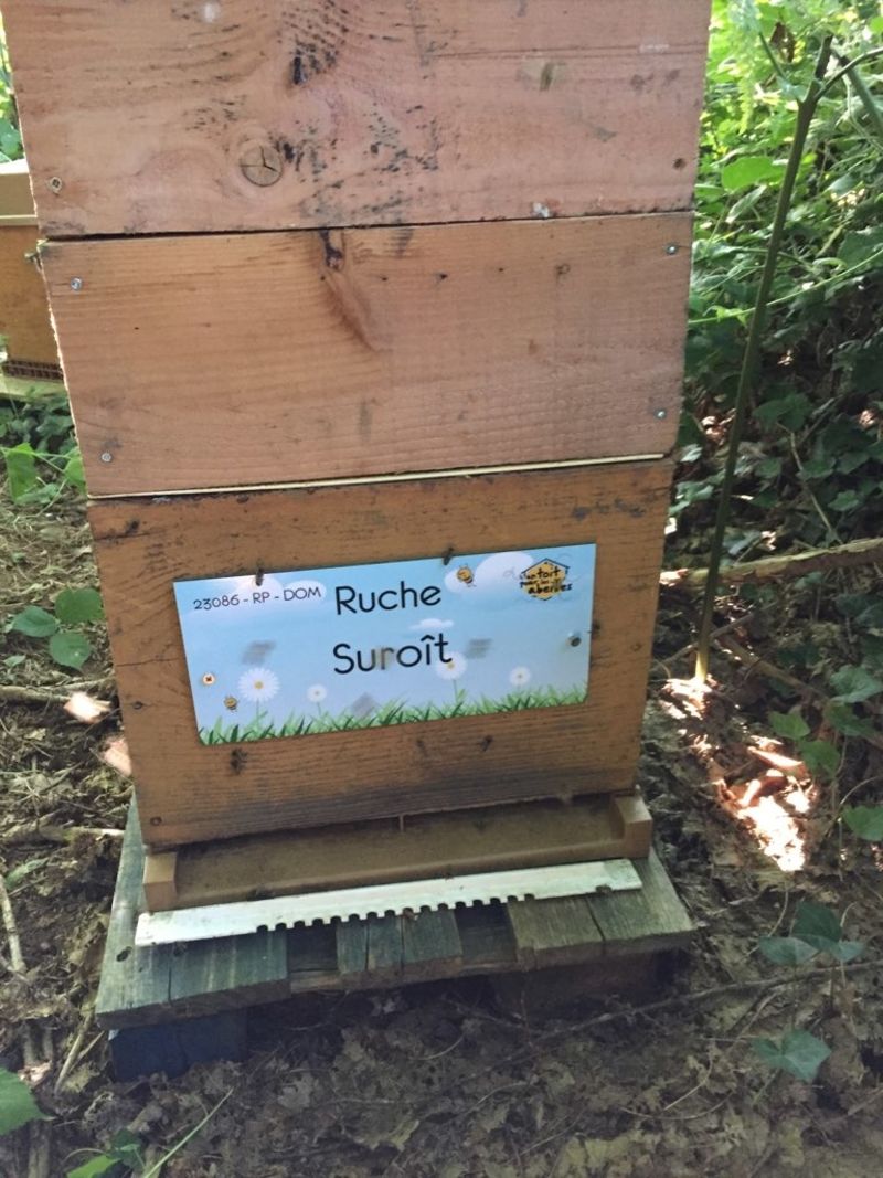 La ruche