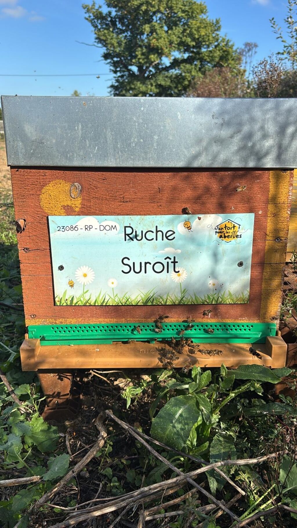 La ruche Suroît