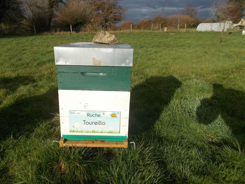 La ruche Toureillo