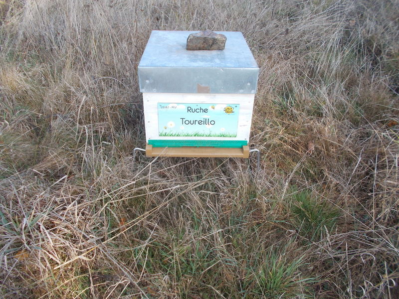 La ruche Toureillo