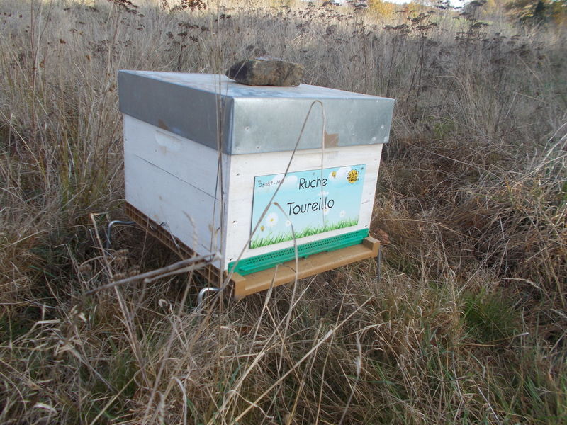 La ruche Toureillo