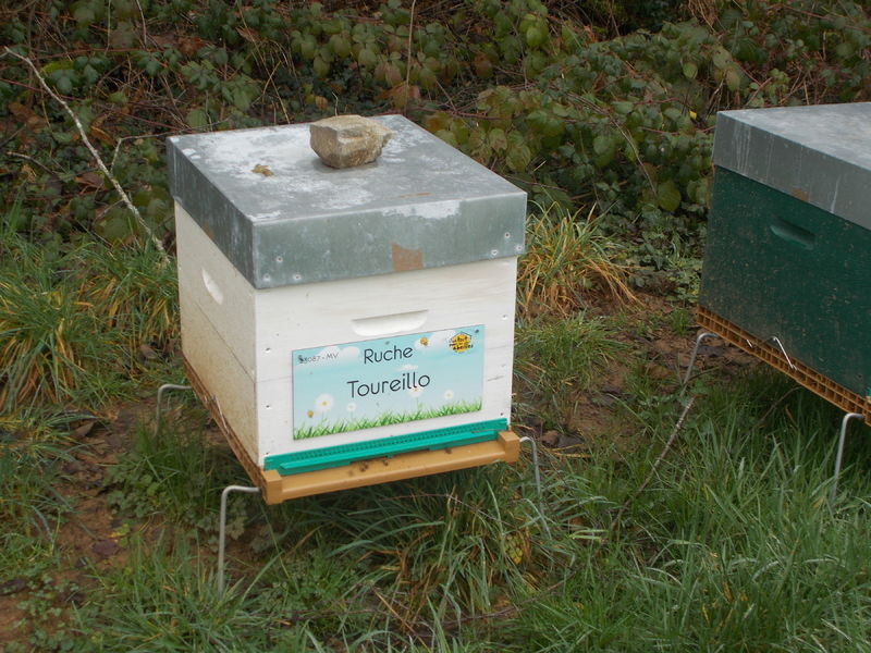 La ruche Toureillo