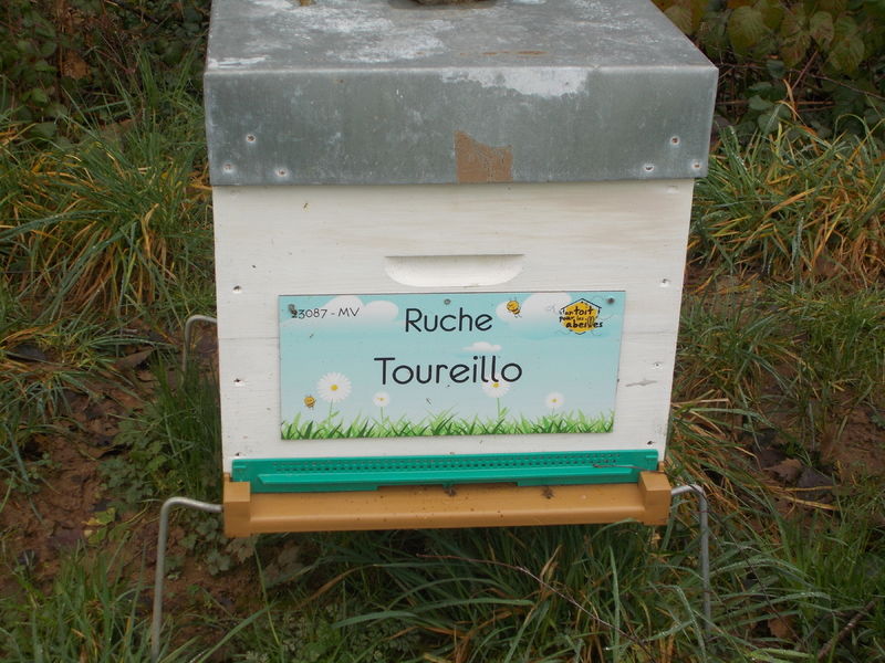 La ruche Toureillo