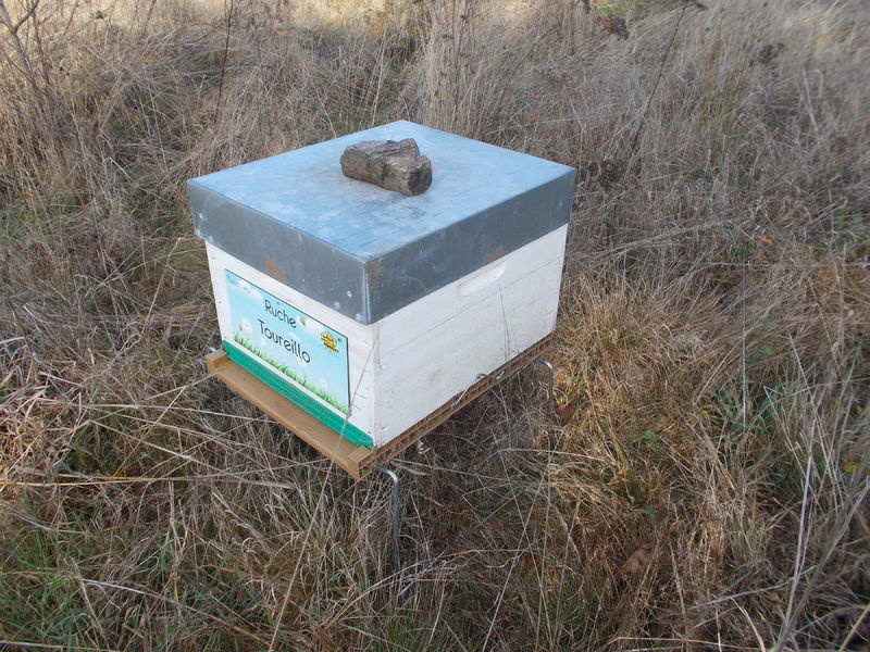La ruche Toureillo