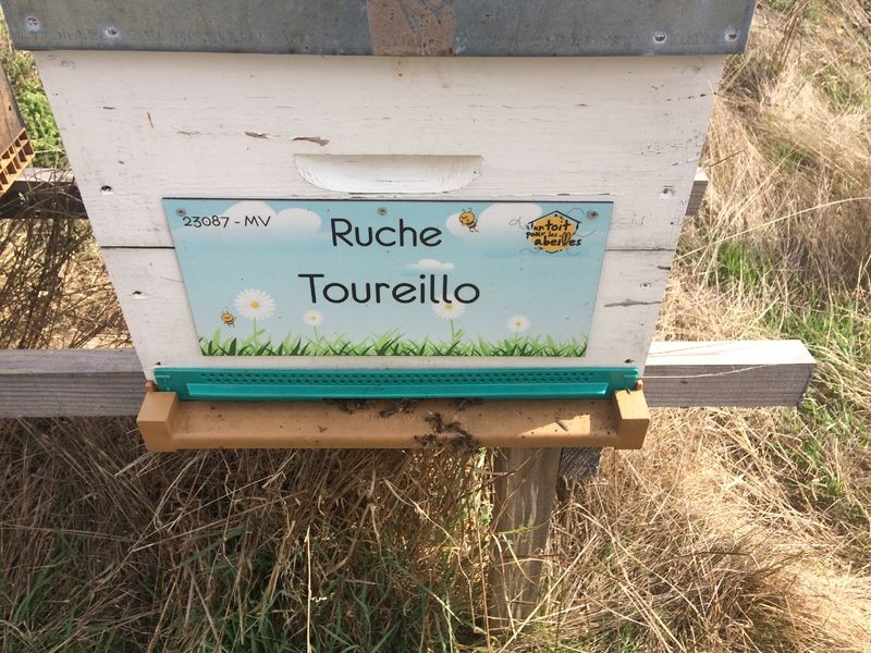 La ruche Toureillo