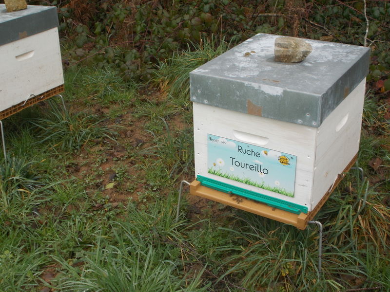 La ruche Toureillo