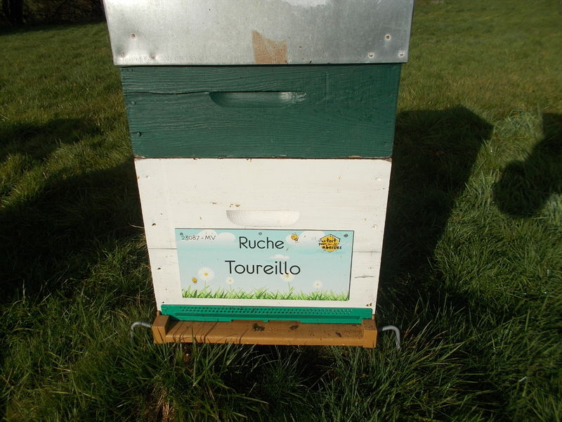 La ruche Toureillo