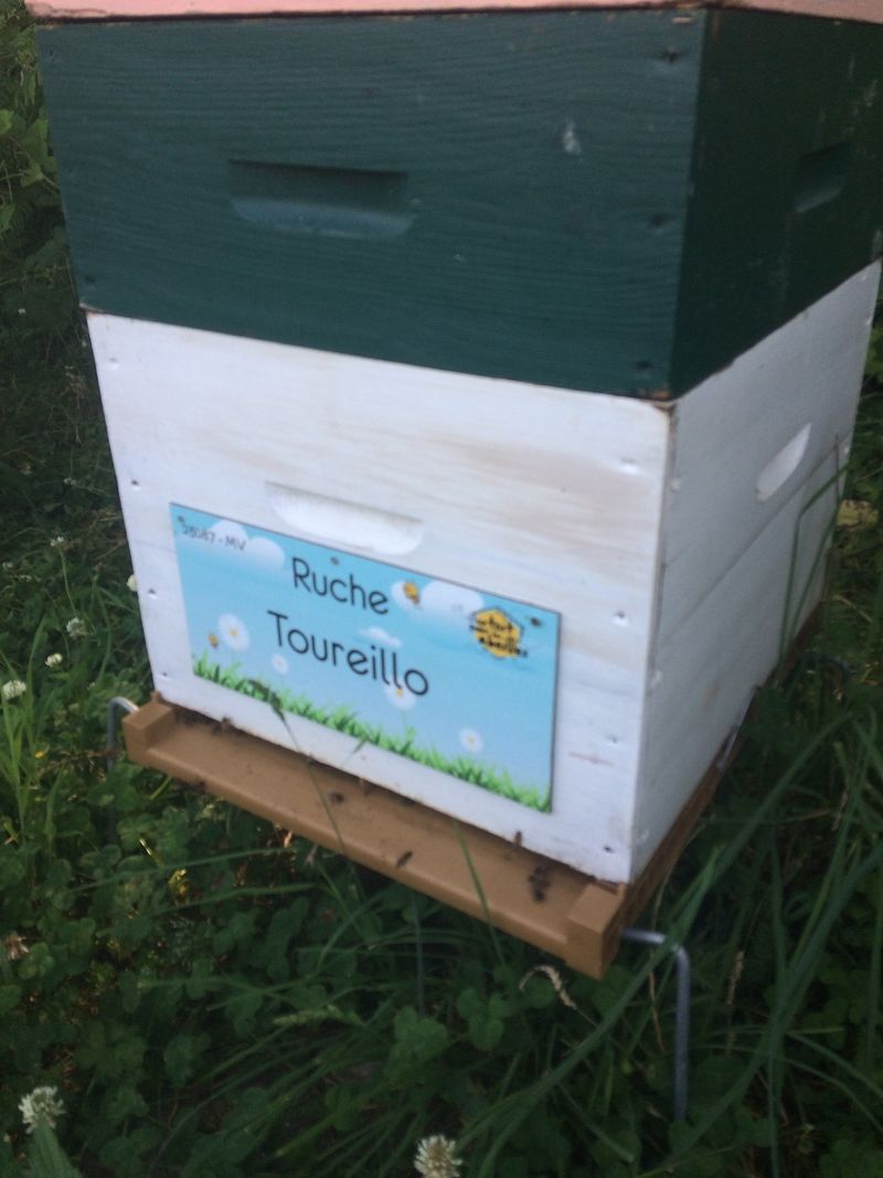 La ruche Toureillo