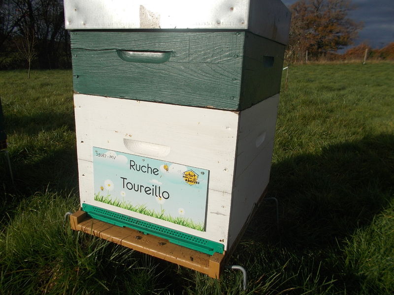 La ruche Toureillo