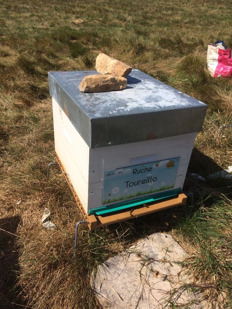La ruche Toureillo