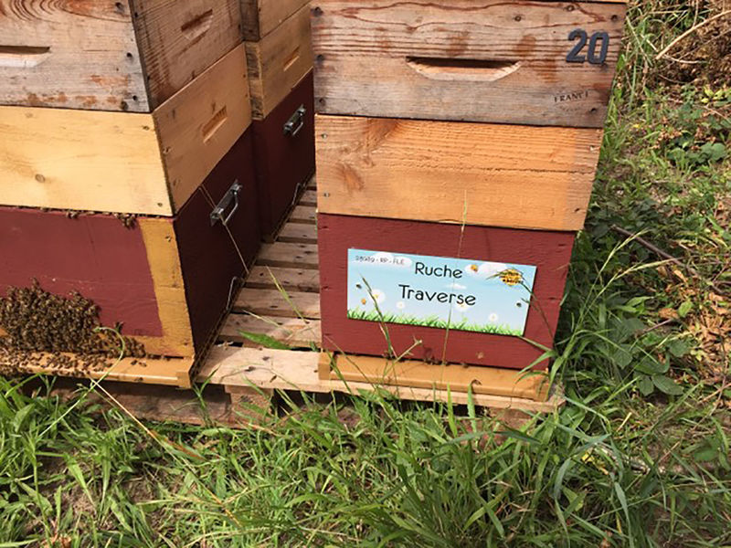 La ruche Traverse