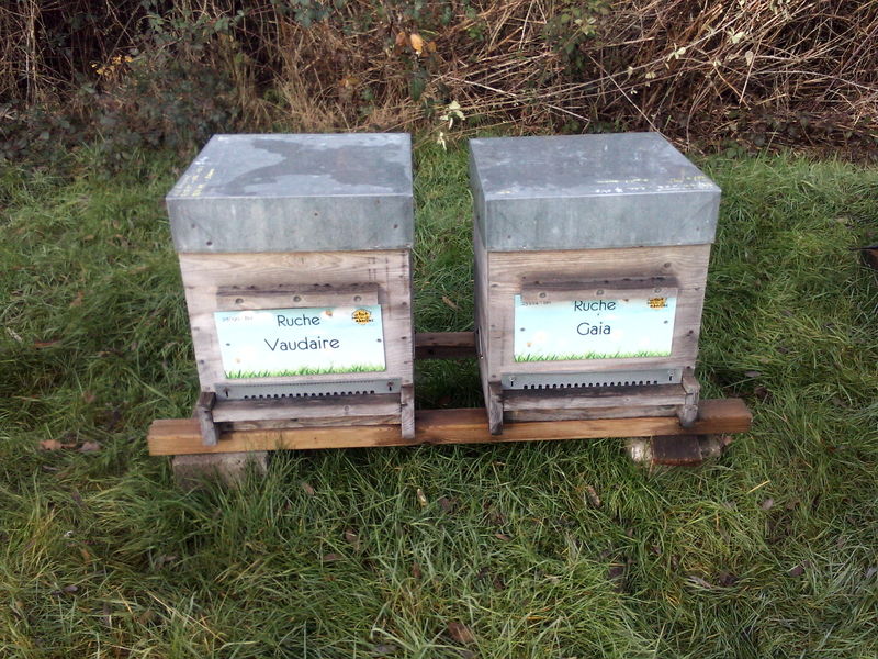 La ruche Vaudaire