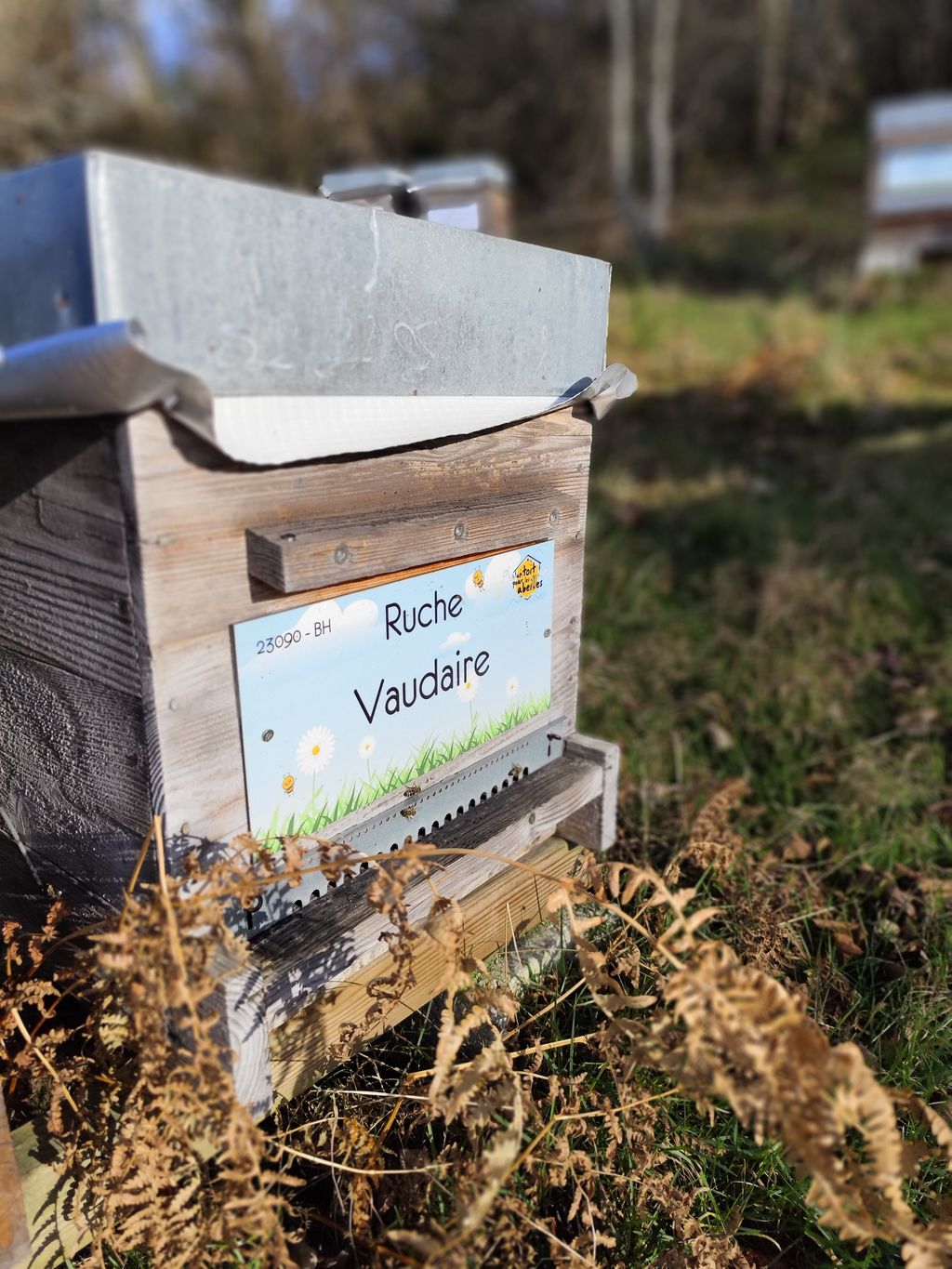 La ruche Vaudaire