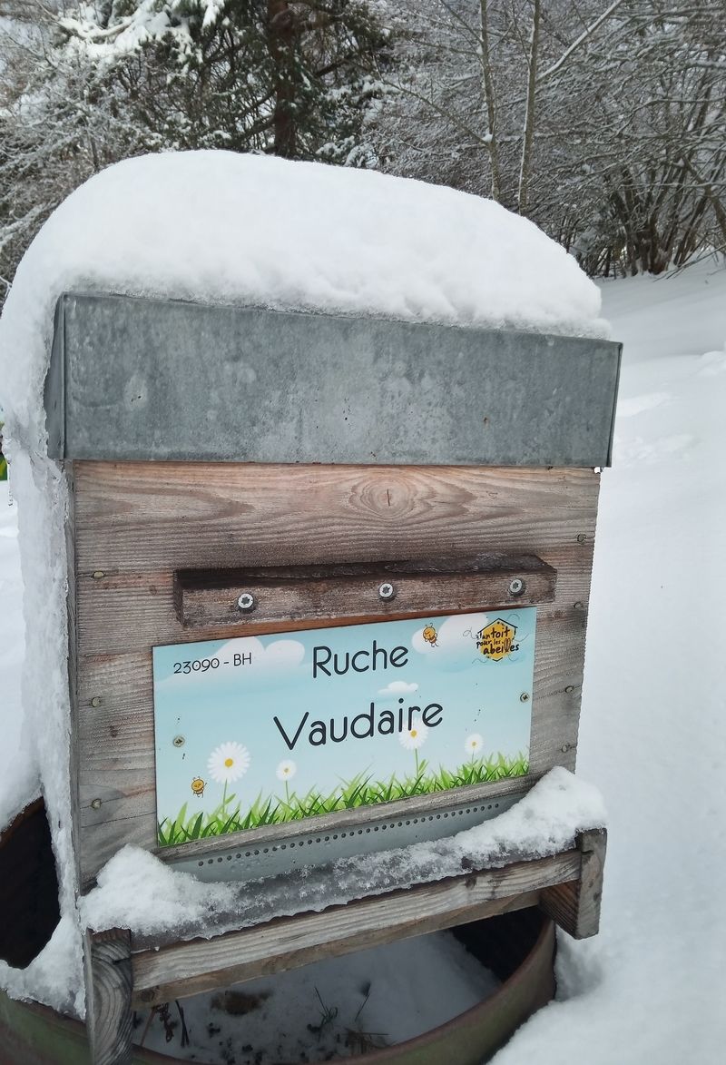 La ruche